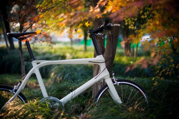 2015年 ，自行車2.0時代