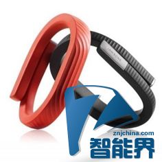 Jawbone UP24