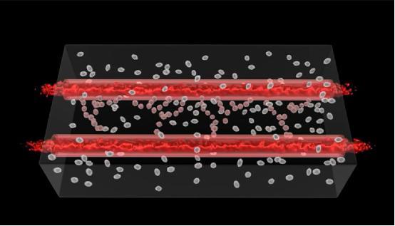 科學(xué)家用3D打印技術(shù)制造“活的”血管組織